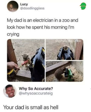 Electrician working in a zoo.